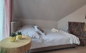 Pino House